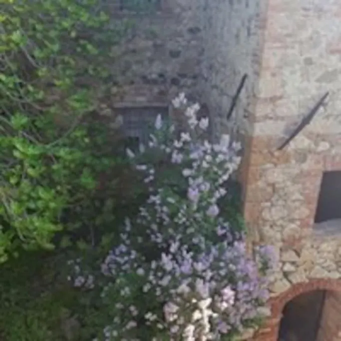 Sandrine Serpentine - Ardengheschi Apartment Murlo Italy