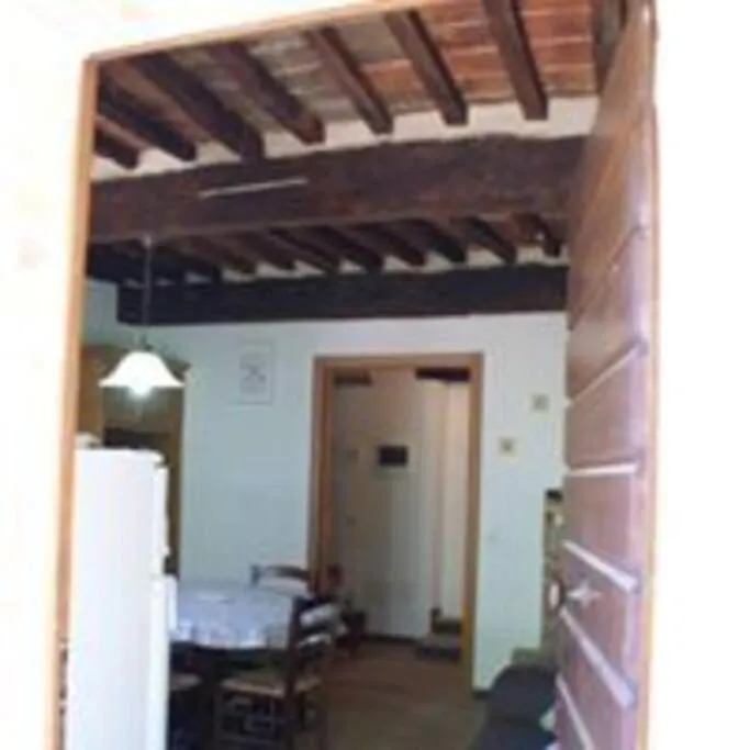 Sandrine Serpentine - Ardengheschi Apartment Murlo Italy