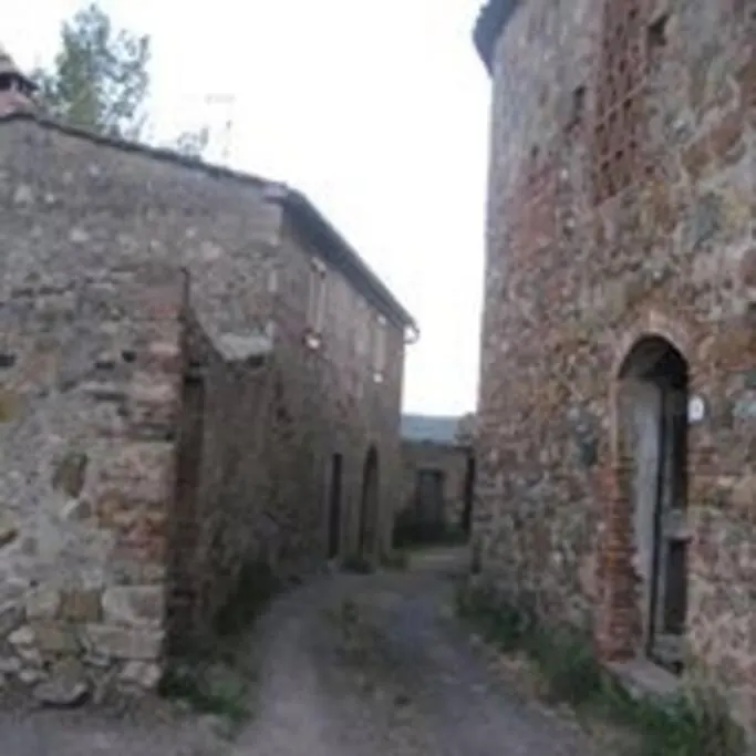 Sandrine Serpentine - Ardengheschi Apartment Murlo Italy