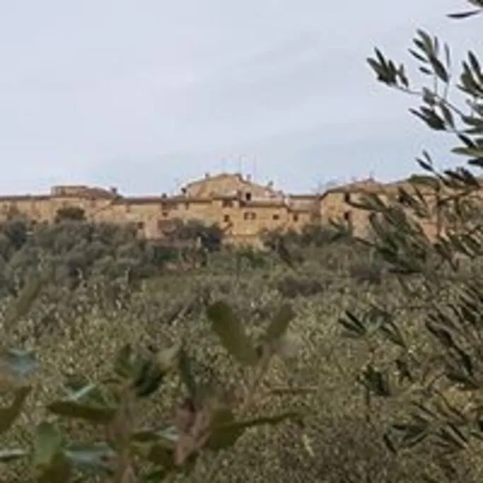 Sandrine Serpentine - Ardengheschi Apartment Murlo Italy